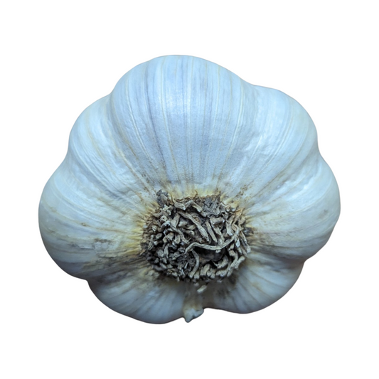 Garlic, Fresh Ontario-grown, Music variety