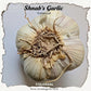 Fresh Canadian Garlic – Music Variety / Ail canadien frais – variété Music