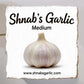 Fresh Canadian Garlic – Music Variety / Ail canadien frais – variété Music
