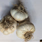 Certified Organic Garlic, music