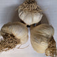 Certified Organic Garlic, music
