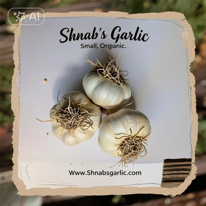 Certified Organic Garlic, music