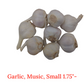 Fresh Canadian Garlic – Music Variety / Ail canadien frais – variété Music