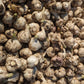 Fresh Canadian Garlic – Music Variety / Ail canadien frais – variété Music