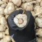 Fresh Canadian Garlic – Music Variety / Ail canadien frais – variété Music